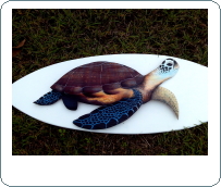 Tortoise hand painted palm tree frond